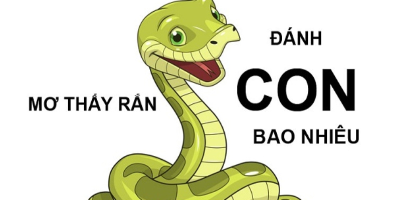 Cập nhật các con số đẹp trong giấc mơ thấy rắn